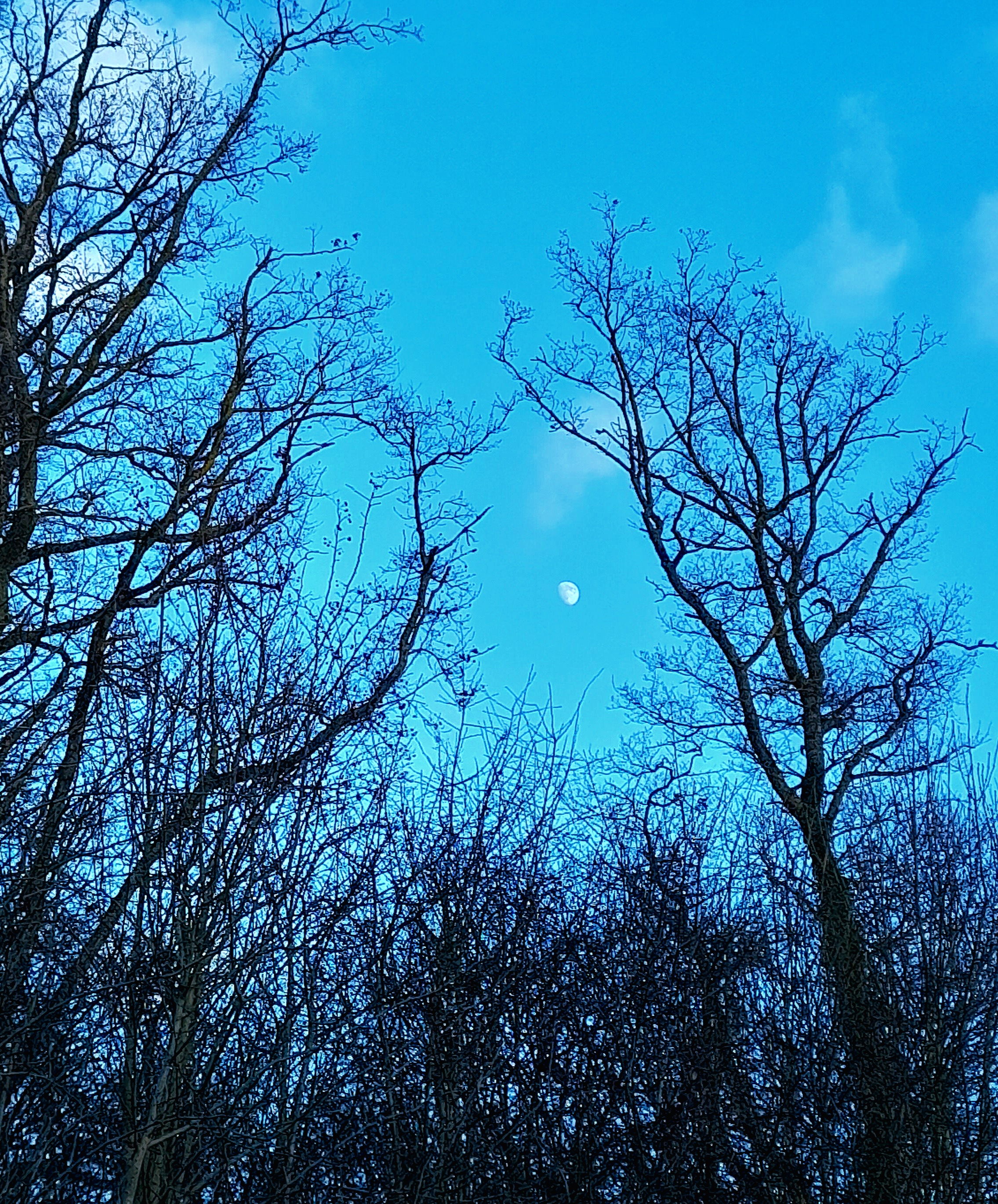 Douceurs d'une présence